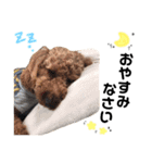 珊瑚ちゃん.雲母くん.琥珀くん.凛ちゃん❤︎（個別スタンプ：8）