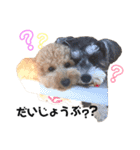 珊瑚ちゃん.雲母くん.琥珀くん.凛ちゃん❤︎（個別スタンプ：15）