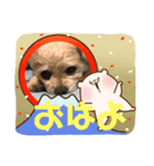 こつつー（個別スタンプ：6）