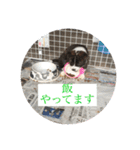 土岐家の業務連絡（個別スタンプ：5）