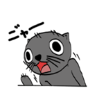 家の猫が変なんです。（個別スタンプ：20）