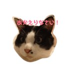 わが家のガヤ達スタンプ（個別スタンプ：3）
