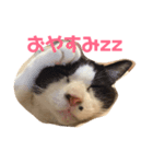 わが家のガヤ達スタンプ（個別スタンプ：7）