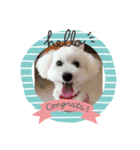 ラッキー2（個別スタンプ：2）