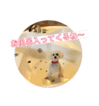 ラッキー2（個別スタンプ：3）