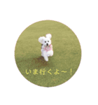 ラッキー2（個別スタンプ：7）