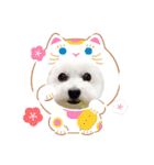 ラッキー2（個別スタンプ：8）