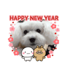 ラッキー2（個別スタンプ：9）
