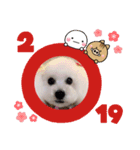 ラッキー2（個別スタンプ：13）