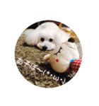 ラッキー2（個別スタンプ：16）