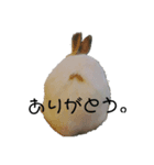 うさぎからみんなへ！3（個別スタンプ：4）
