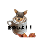 ヨナの愉快な仲間たチワワ時々ネコ②（個別スタンプ：35）