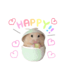 キンクマハムスター#つめこみきなさん①（個別スタンプ：19）