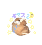キンクマハムスター#つめこみきなさん①（個別スタンプ：29）