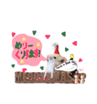キンクマハムスター#つめこみきなさん①（個別スタンプ：31）