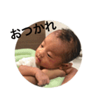 みしぇるとりお（個別スタンプ：17）
