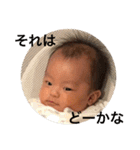 みしぇるとりお（個別スタンプ：29）