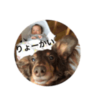 みしぇるとりお（個別スタンプ：32）