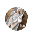 みしぇるとりお（個別スタンプ：40）