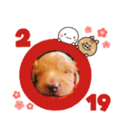 トコとシャネルとその子犬たちスタンプ2！（個別スタンプ：4）