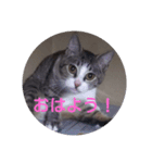ジジ様（個別スタンプ：1）