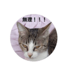 ジジ様（個別スタンプ：2）