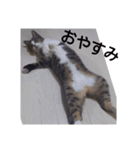 ジジ様（個別スタンプ：4）