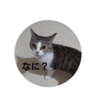 ジジ様（個別スタンプ：5）