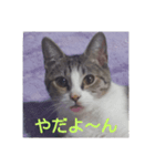 ジジ様（個別スタンプ：8）
