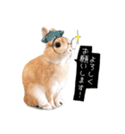 うさぎのムギンプ2（個別スタンプ：1）
