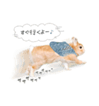 うさぎのムギンプ2（個別スタンプ：4）