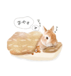 うさぎのムギンプ2（個別スタンプ：5）