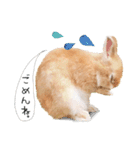 うさぎのムギンプ2（個別スタンプ：9）