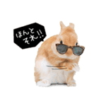 うさぎのムギンプ2（個別スタンプ：10）