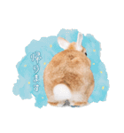 うさぎのムギンプ2（個別スタンプ：12）