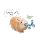 うさぎのムギンプ2（個別スタンプ：16）