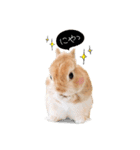 うさぎのムギンプ2（個別スタンプ：18）