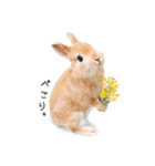 うさぎのムギンプ2（個別スタンプ：19）