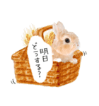 うさぎのムギンプ2（個別スタンプ：20）