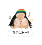 うさぎのムギンプ2（個別スタンプ：22）