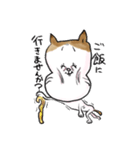それいけ！しらすくん。丁寧編っ！（個別スタンプ：5）