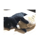 えるのすたんぷ（個別スタンプ：8）