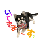 ワンだful☆（個別スタンプ：5）