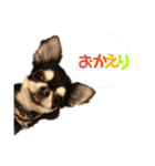 ワンだful☆（個別スタンプ：7）