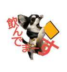 ワンだful☆（個別スタンプ：9）