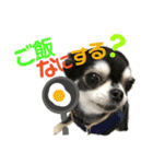 ワンだful☆（個別スタンプ：10）