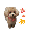 ワンだful☆（個別スタンプ：28）