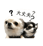 ワンだful☆（個別スタンプ：30）