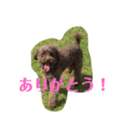 たのしい小吉スタンプ（個別スタンプ：4）