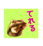 ハムスター好きの為のはっきり系スタンプ。（個別スタンプ：15）